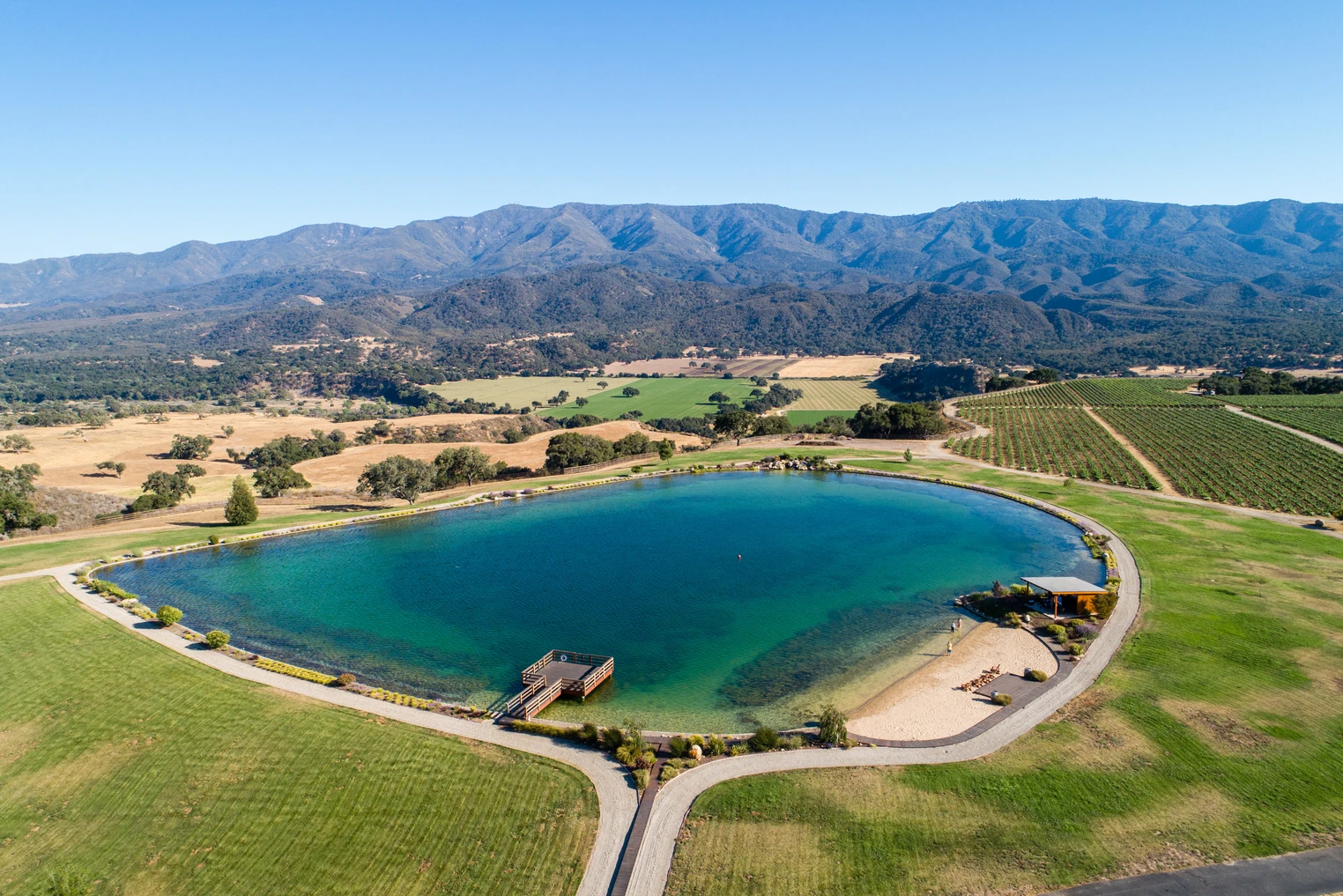 Biodynamic vineyards at Grimm's Bluff with the river below in Santa Ynez Valley