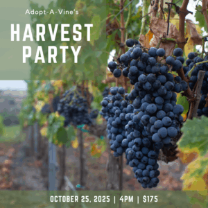 Brick Barn Wine Estate Harvest Party 2025