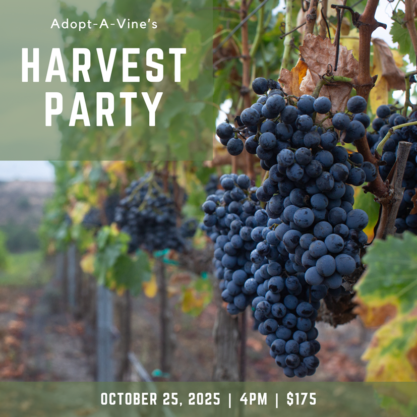 Adopt-A-Vine's Harvest Party. Connect to the Craft.