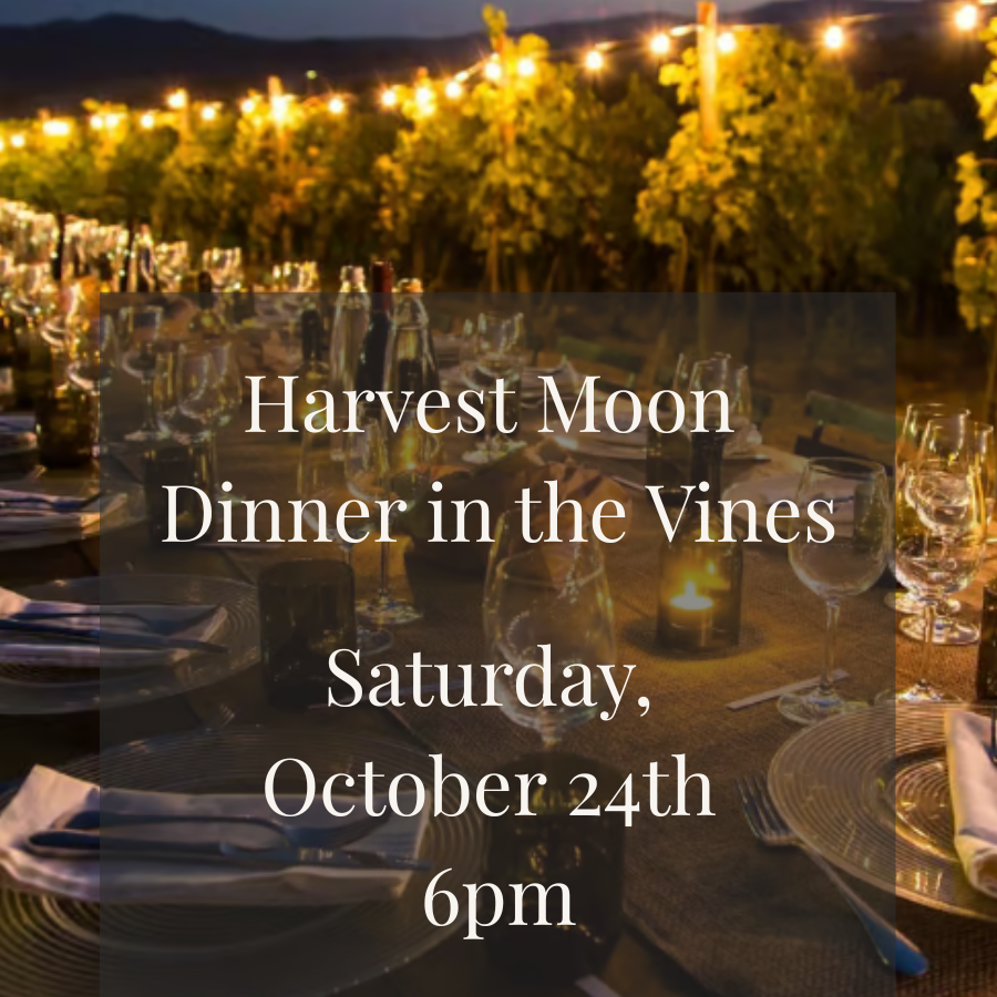 Harvest Moon Dinner in the Vines